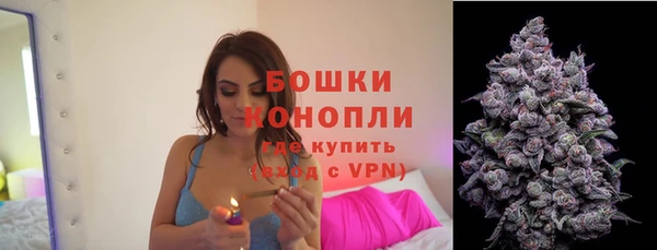 крисы Абдулино