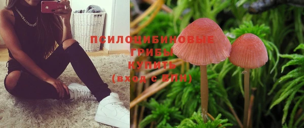крисы Абдулино