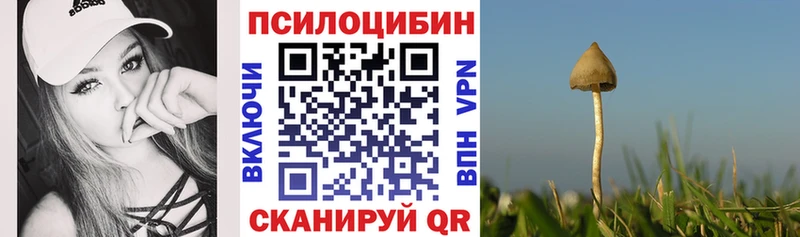 Галлюциногенные грибы прущие грибы  Новотроицк 